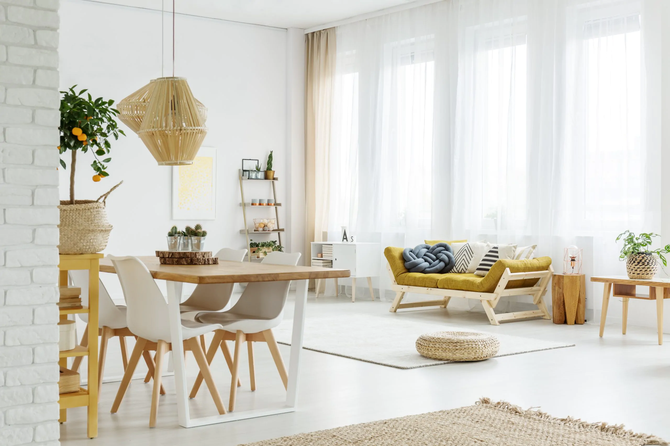 orange tree in dining room PEZW2WM scaled 1 inlegal.com.co